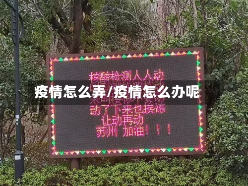 疫情怎么弄/疫情怎么办呢