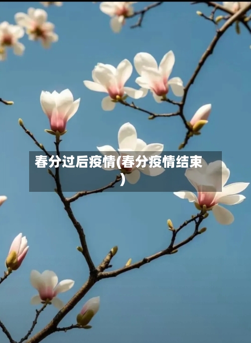春分过后疫情(春分疫情结束)