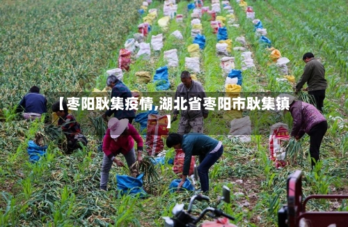 【枣阳耿集疫情,湖北省枣阳市耿集镇】-第2张图片