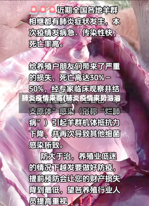 肺炎疫情来临(肺炎疫情来势汹汹)-第3张图片