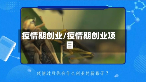 疫情期创业/疫情期创业项目