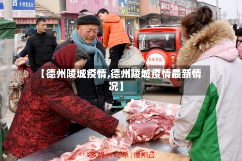 【德州陵城疫情,德州陵城疫情最新情况】-第3张图片