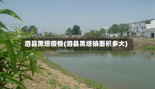 泗县黑塔疫情(泗县黑塔镇面积多大)-第1张图片