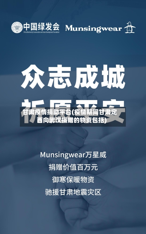甘肃疫情捐助平台(疫情期间甘肃定西向武汉捐赠的物资包括)-第3张图片