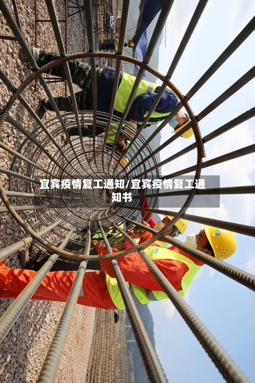 宜宾疫情复工通知/宜宾疫情复工通知书-第2张图片