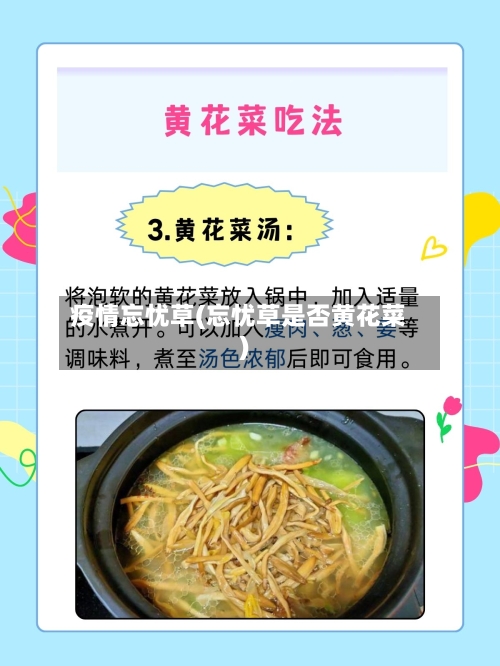 疫情忘忧草(忘忧草是否黄花菜)