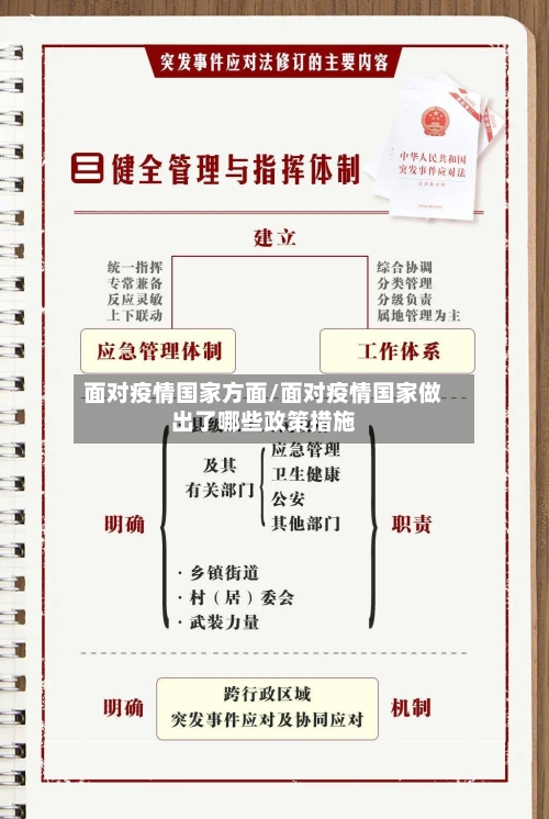 面对疫情国家方面/面对疫情国家做出了哪些政策措施