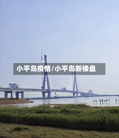 小平岛疫情/小平岛新楼盘