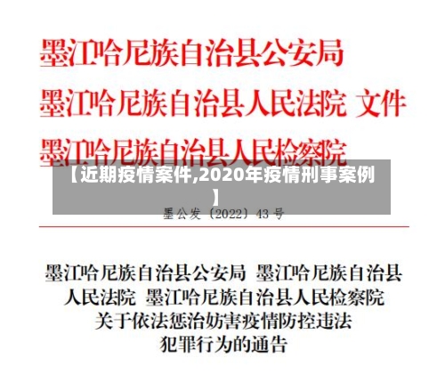 【近期疫情案件,2020年疫情刑事案例】
