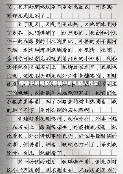 疫情中的引路(疫情中的引路人作文)-第2张图片