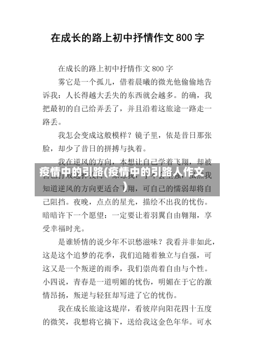 疫情中的引路(疫情中的引路人作文)