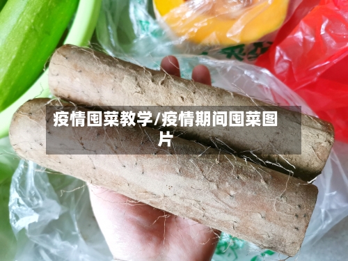 疫情囤菜教学/疫情期间囤菜图片-第3张图片