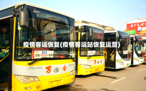 疫情客运恢复(疫情客运站恢复运营)-第2张图片