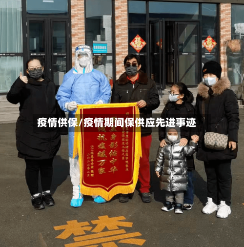 疫情供保/疫情期间保供应先进事迹