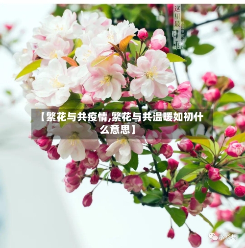 【繁花与共疫情,繁花与共温暖如初什么意思】-第3张图片