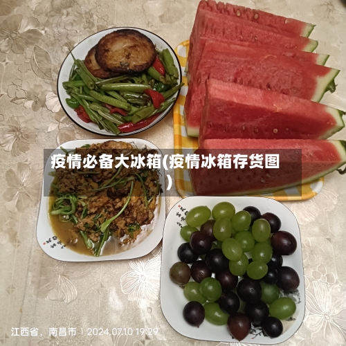 疫情必备大冰箱(疫情冰箱存货图)-第2张图片