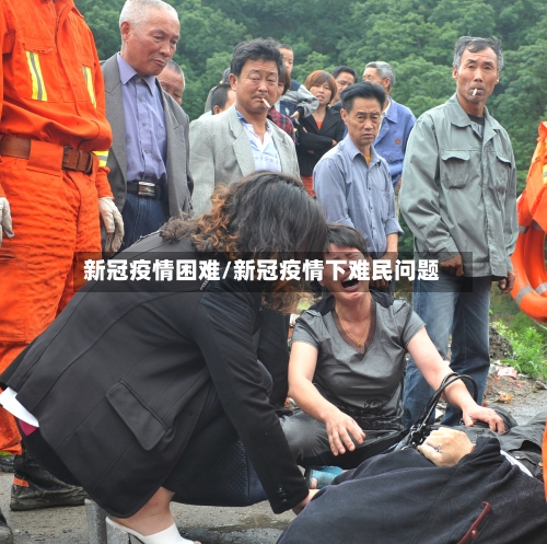 新冠疫情困难/新冠疫情下难民问题