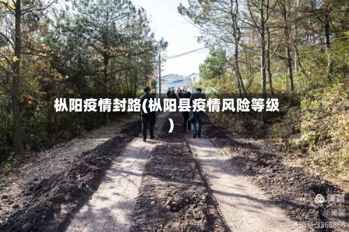 枞阳疫情封路(枞阳县疫情风险等级)-第3张图片