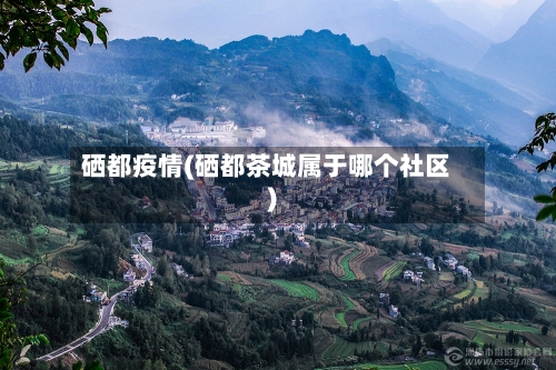 硒都疫情(硒都茶城属于哪个社区)