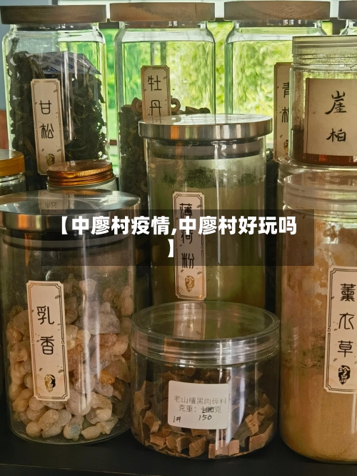 【中廖村疫情,中廖村好玩吗】-第2张图片