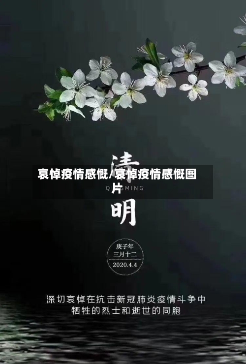 哀悼疫情感慨/哀悼疫情感慨图片