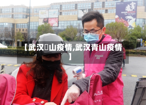 【武汉奓山疫情,武汉青山疫情】