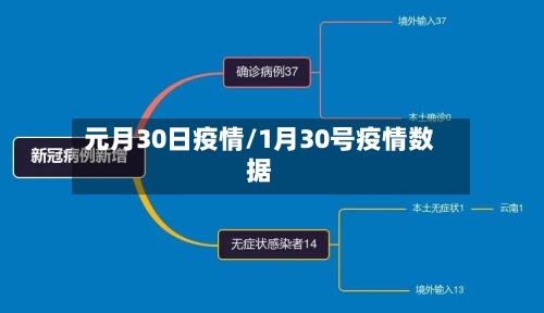 元月30日疫情/1月30号疫情数据-第3张图片