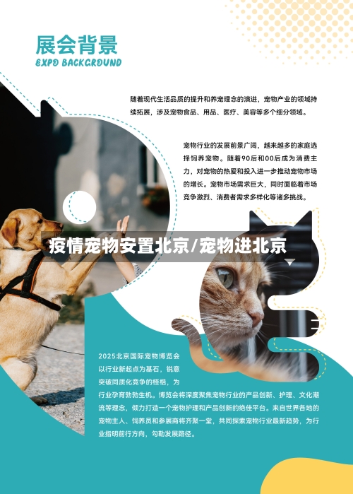 疫情宠物安置北京/宠物进北京