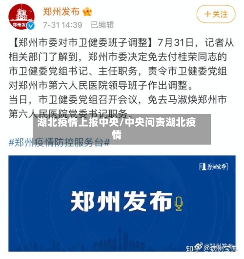 湖北疫情上报中央/中央问责湖北疫情