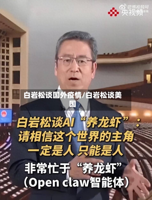 白岩松谈国外疫情/白岩松谈美国