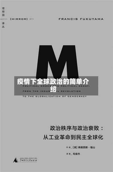 疫情下全球政治的简单介绍-第3张图片