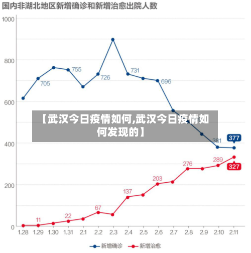 【武汉今日疫情如何,武汉今日疫情如何发现的】-第3张图片