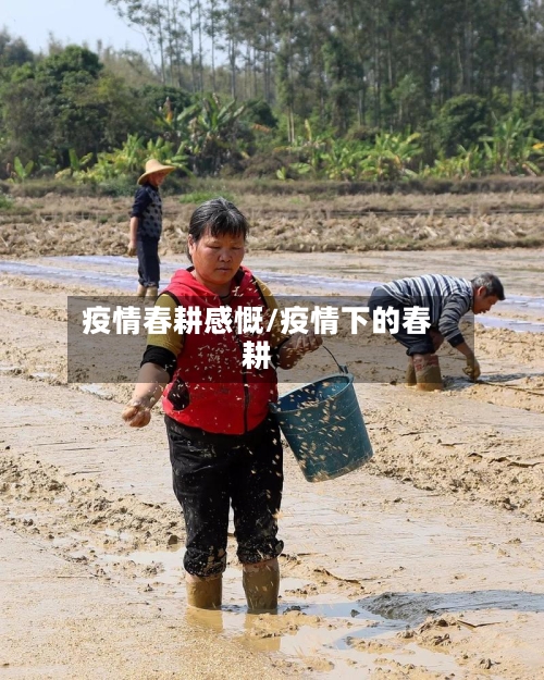 疫情春耕感慨/疫情下的春耕-第3张图片