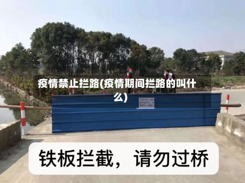 疫情禁止拦路(疫情期间拦路的叫什么)-第3张图片