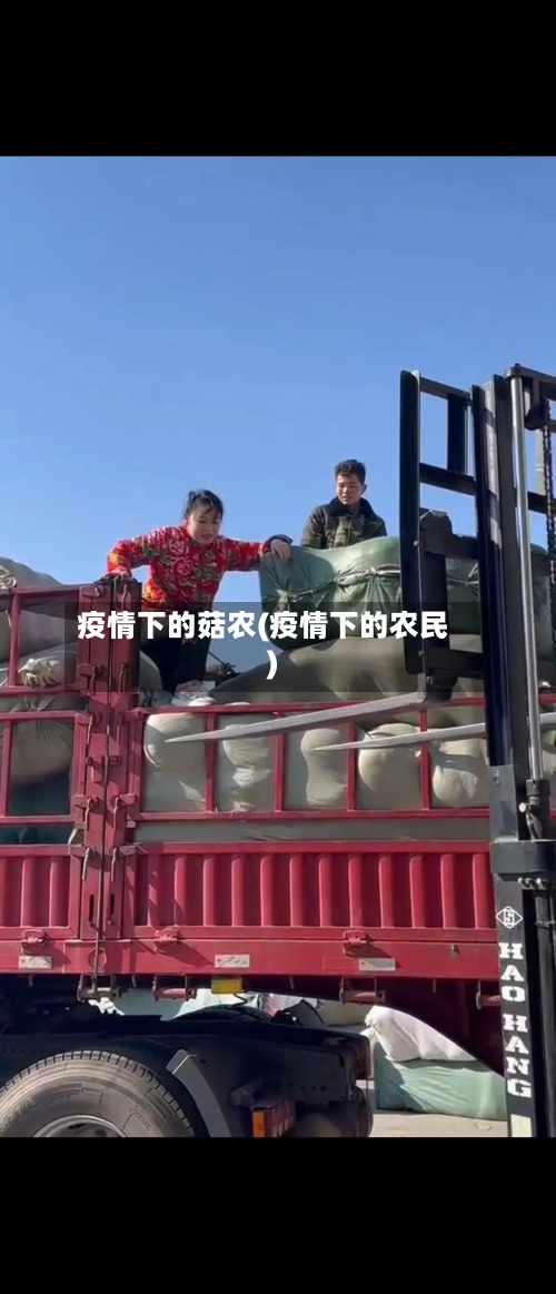 疫情下的菇农(疫情下的农民)-第2张图片