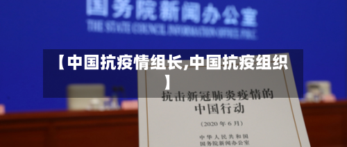 【中国抗疫情组长,中国抗疫组织】