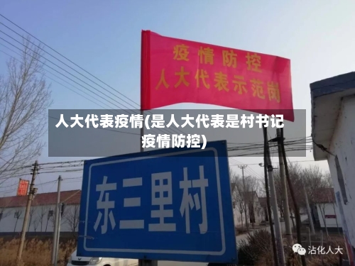 人大代表疫情(是人大代表是村书记疫情防控)-第2张图片