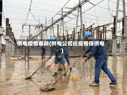 供电疫情春耕(供电公司抗疫情保供电)-第2张图片