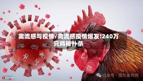 禽流感与疫情/禽流感疫情爆发!240万只鸡被扑杀-第2张图片