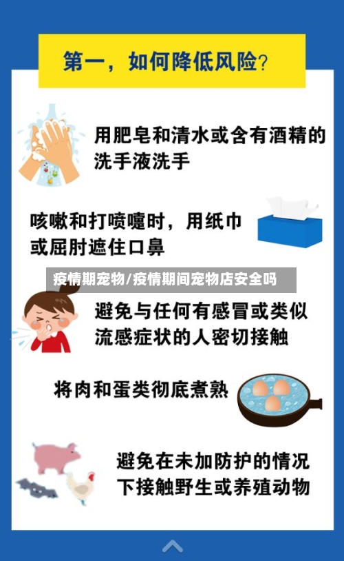 疫情期宠物/疫情期间宠物店安全吗-第3张图片