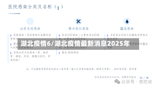 湖北疫情6/湖北疫情最新消息2025年-第2张图片