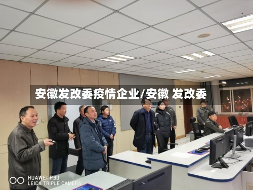 安徽发改委疫情企业/安徽 发改委-第2张图片