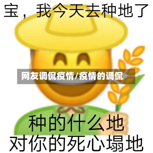 网友调侃疫情/疫情的调侃