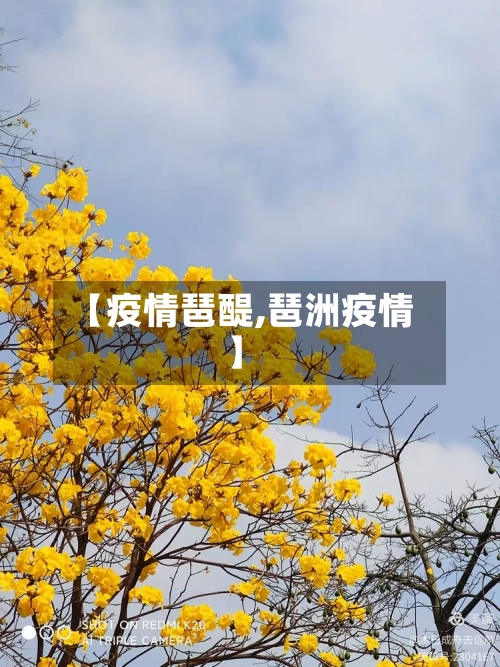 【疫情琶醍,琶洲疫情】-第2张图片