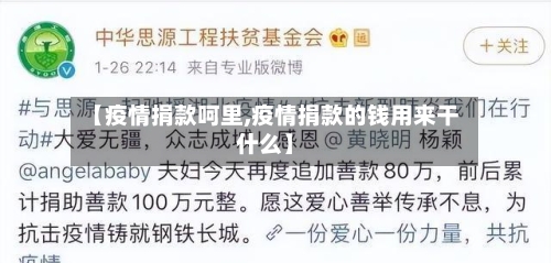 【疫情捐款呵里,疫情捐款的钱用来干什么】