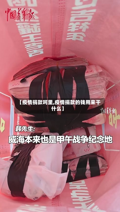 【疫情捐款呵里,疫情捐款的钱用来干什么】-第3张图片