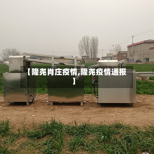 【隆尧肖庄疫情,隆尧疫情通报】