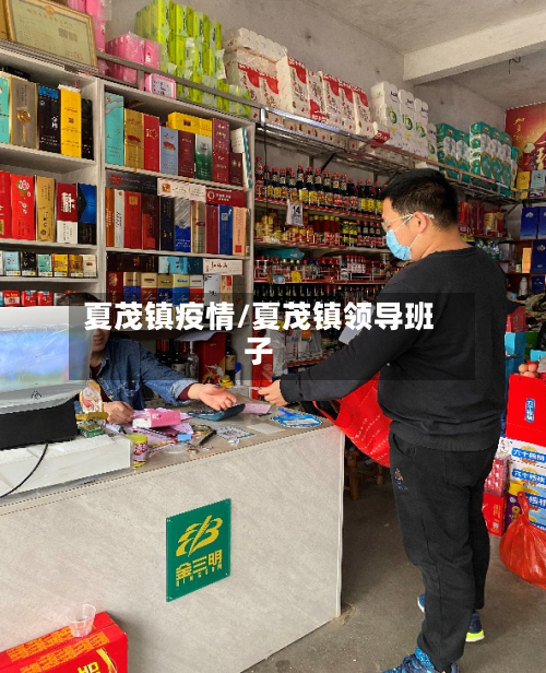 夏茂镇疫情/夏茂镇领导班子