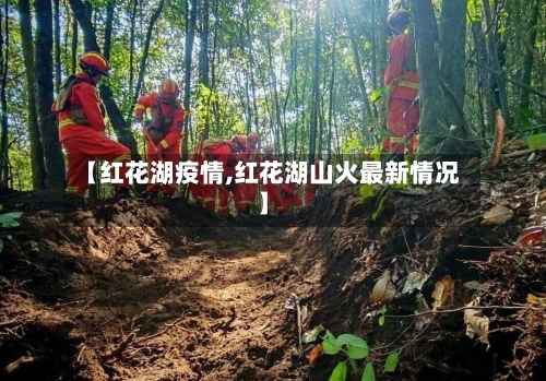 【红花湖疫情,红花湖山火最新情况】