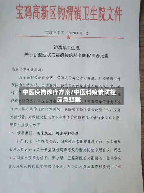 中医疫情诊疗方案/中医科疫情防控应急预案-第2张图片